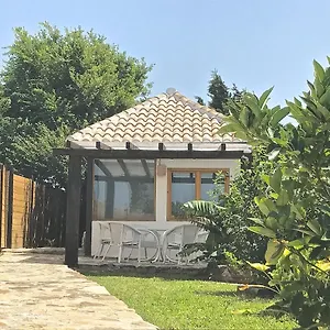 Sol De 5 , Bolonia España